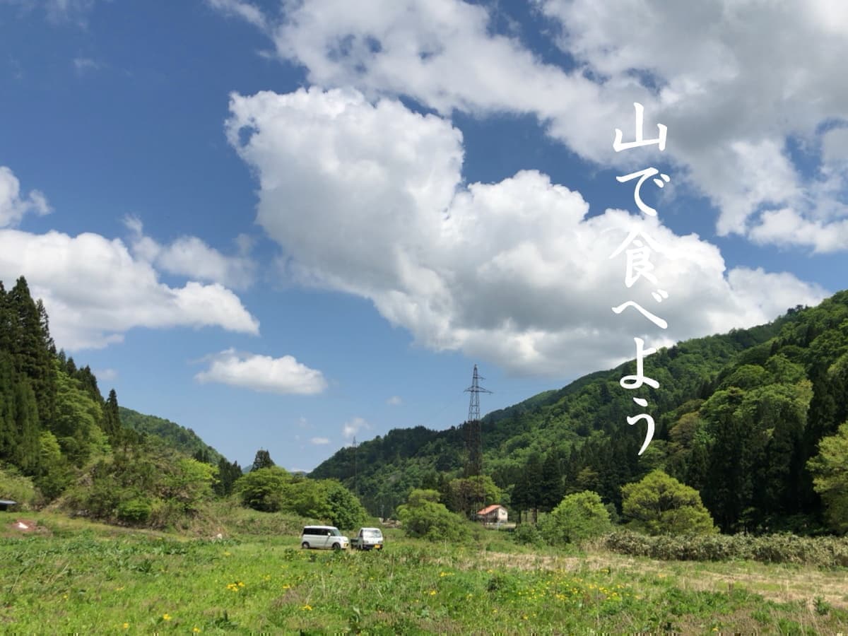 村上山荘/富山県富山市八尾町/大長谷/山菜イタリアン/大長谷温泉/ジビエ料理